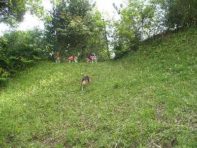 c0166622_844672.jpg
