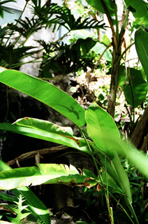 c0182022_1024410.jpg