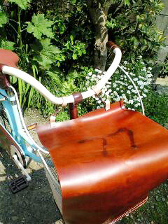 d0074622_1619865.jpg