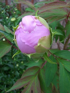 b0128423_13111441.jpg