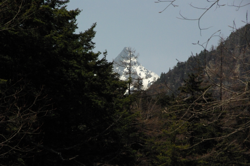b0062024_644825.jpg