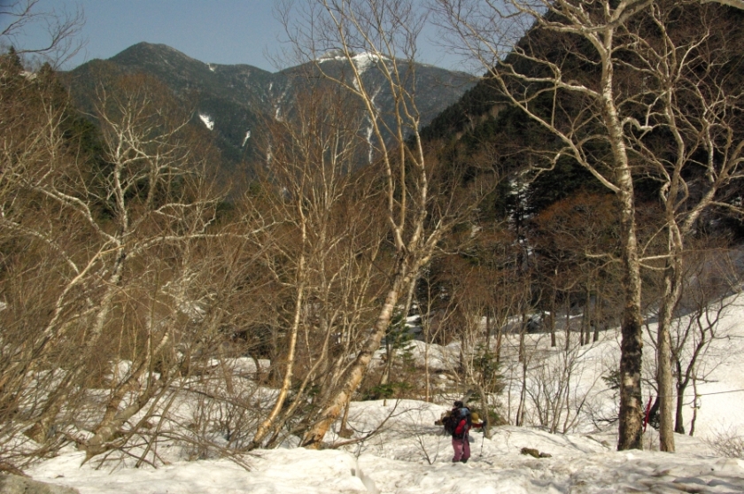 b0062024_653929.jpg