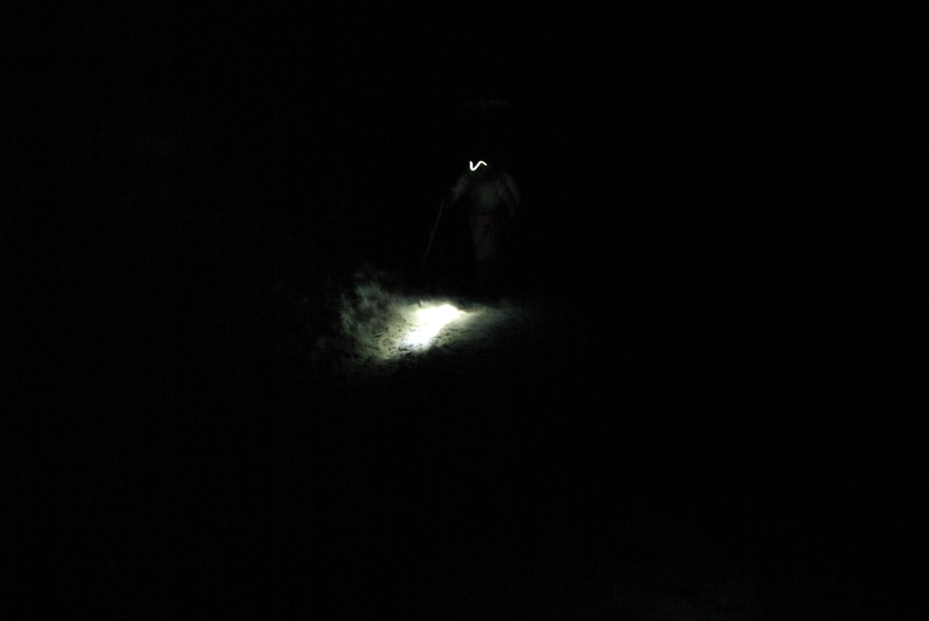 b0062024_79531.jpg