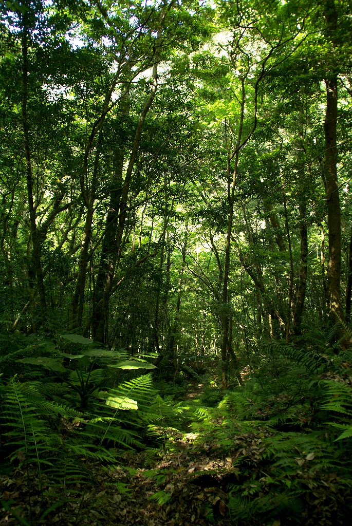 d0053930_5245170.jpg