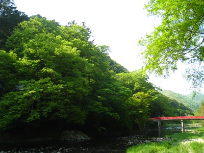 a0055835_20111746.jpg