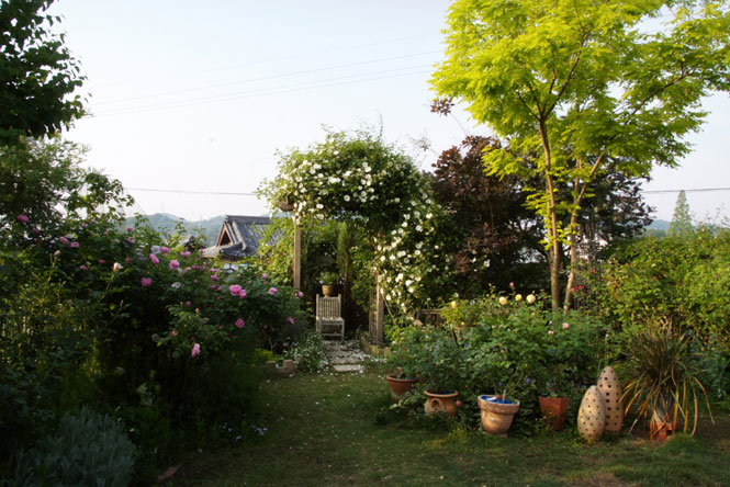 b0075541_11623.jpg