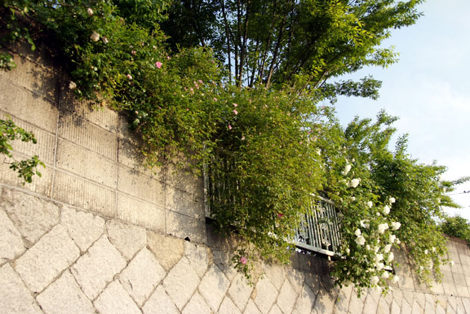 b0075541_162018.jpg