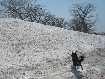 f0058241_2137527.jpg