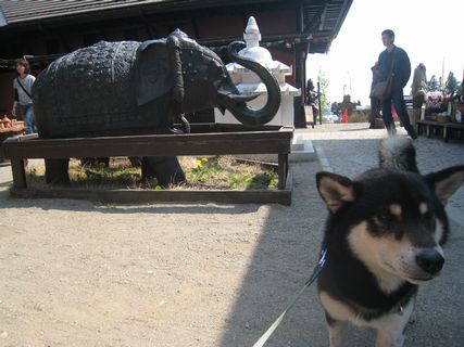f0058241_21415848.jpg