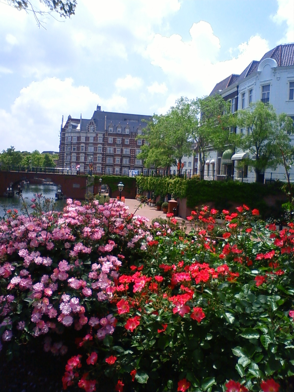 d0047944_2143716.jpg