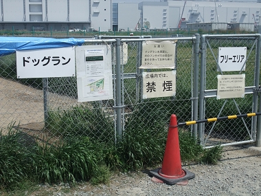 e0126046_20521044.jpg