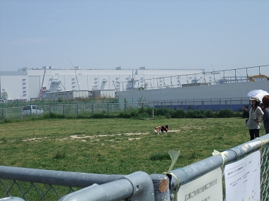 e0126046_20531322.jpg