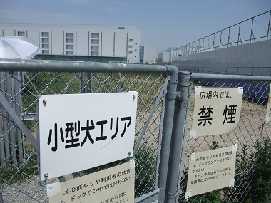 e0126046_20543854.jpg