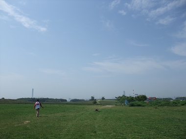 e0126046_20591642.jpg
