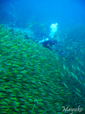 e0027447_20132940.jpg