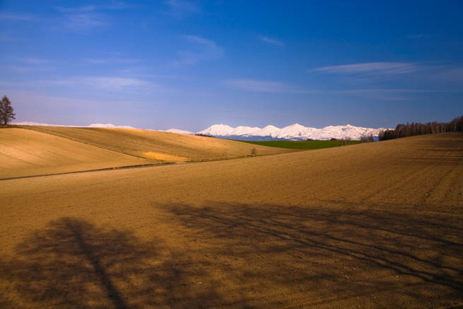 f0104847_2313294.jpg