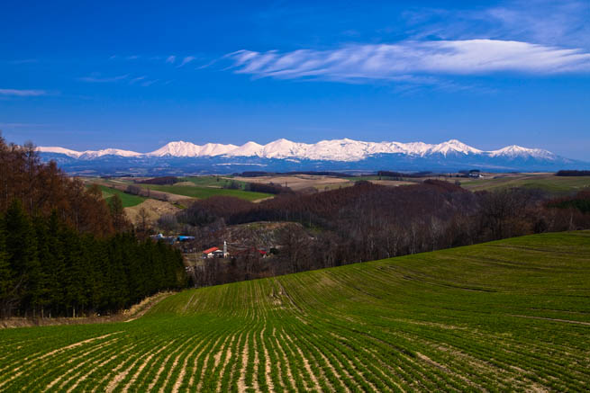 f0104847_2316100.jpg