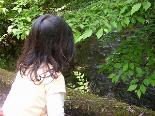 a0068350_2312794.jpg