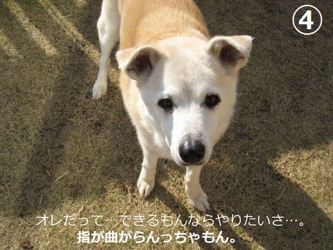 a0090451_2323930.jpg