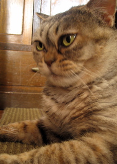 c0003752_740311.jpg