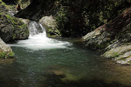e0113053_20285615.jpg