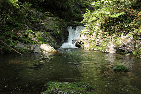 e0113053_20295958.jpg
