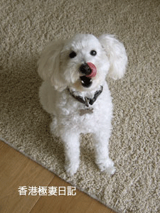 f0190653_8331.gif