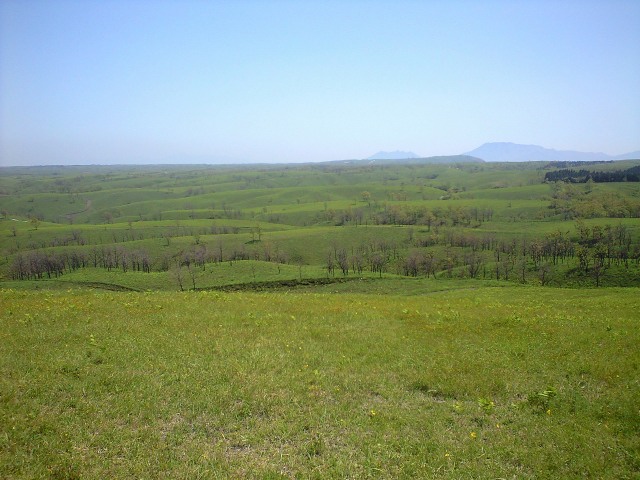 b0002156_9123058.jpg