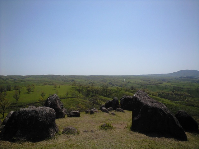 b0002156_9191213.jpg