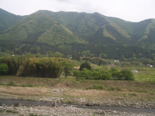 d0005157_11553785.jpg