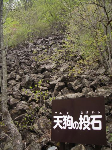 d0005157_1239551.jpg