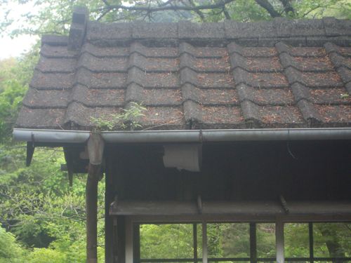 d0005157_133318100.jpg