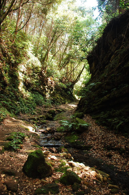 f0176458_10405645.jpg