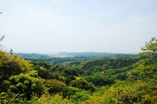 f0176458_1049659.jpg