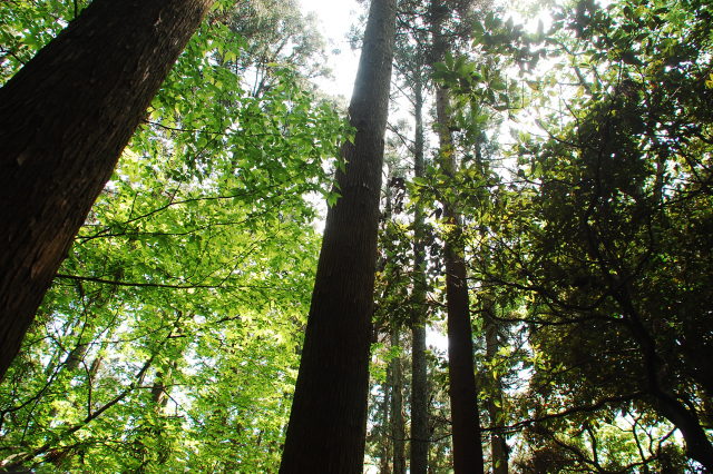 f0176458_11181047.jpg
