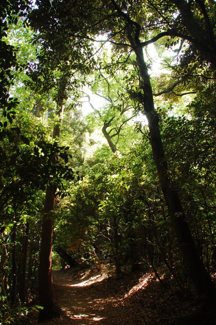 f0176458_11212434.jpg