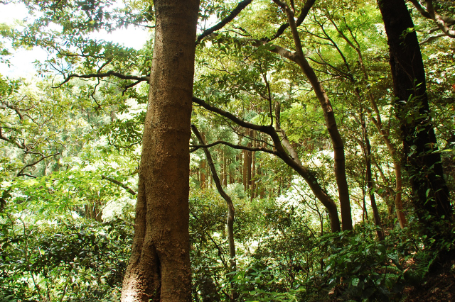 f0176458_11727100.jpg