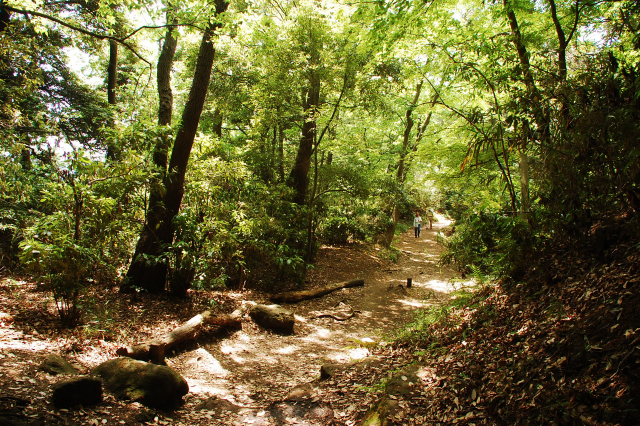 f0176458_1181670.jpg