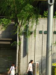 b0154959_21323645.jpg