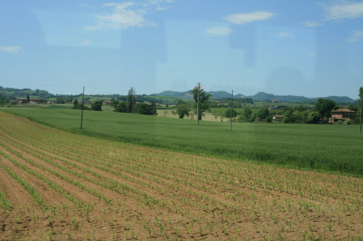 f0077159_6174374.jpg