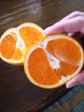 a0117860_2344568.jpg
