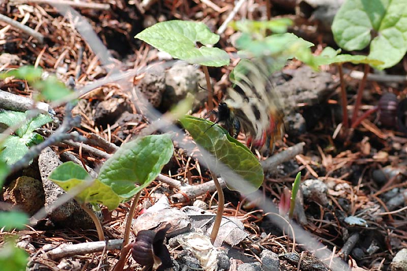 c0043361_0483916.jpg