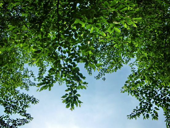 c0174064_024890.jpg