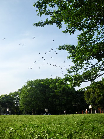 c0174064_032513.jpg