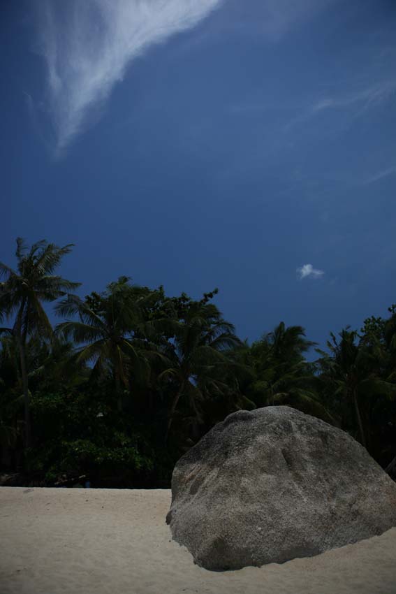 b0149365_323182.jpg