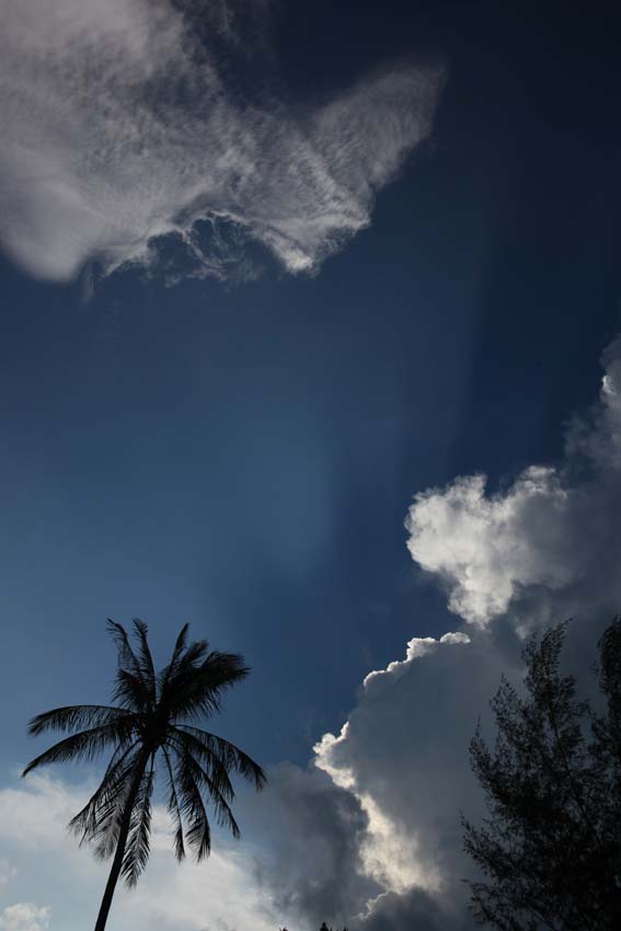 b0149365_3282277.jpg
