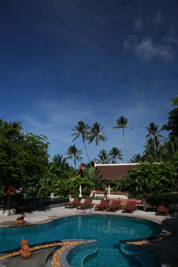 b0149365_338237.jpg