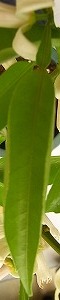 b0169765_19215414.jpg