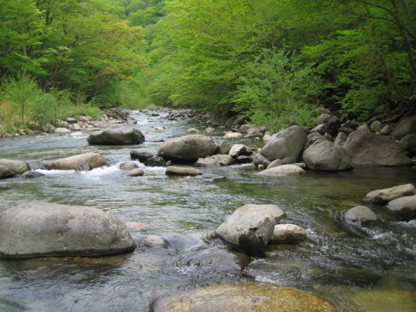b0120066_21132784.jpg