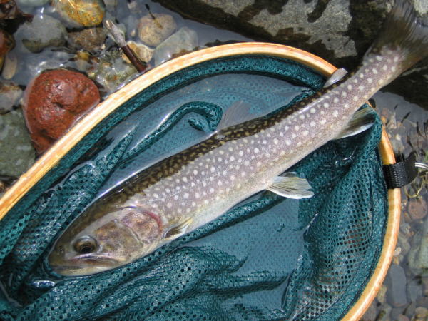 b0120066_21193645.jpg